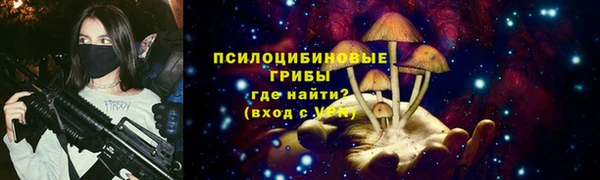 дмт Алексин