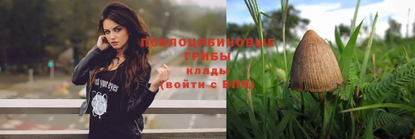 дмт Алексин